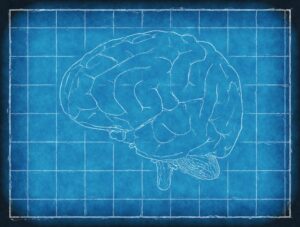 Urazy czaszkowo-mózgowe – duże niebezpieczeństwo o pozornie niewielkim rozmiarze